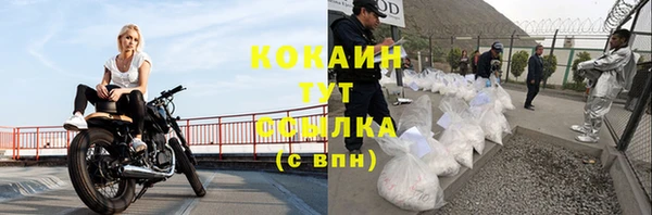 прущая мука Няндома