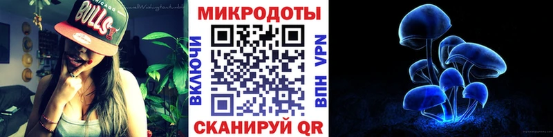 мега tor Подпорожье Галлюциногенные грибы Cubensis